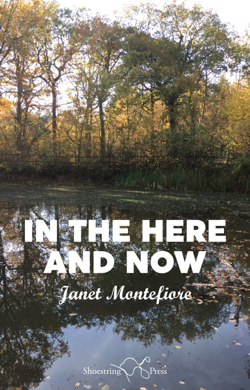 Cover for In The Here And Now