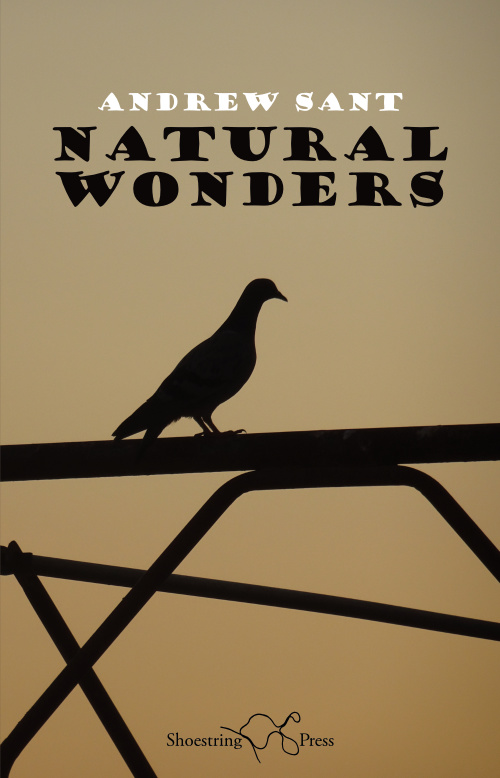 Cover for Natural Wonders