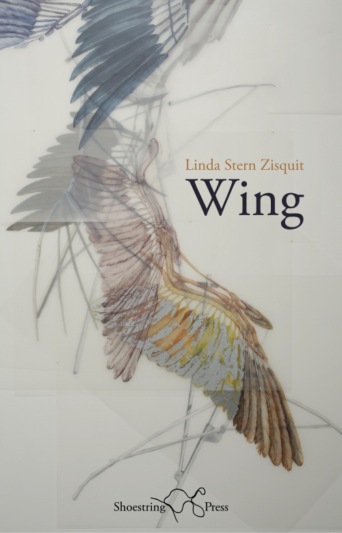 Cover for Wing